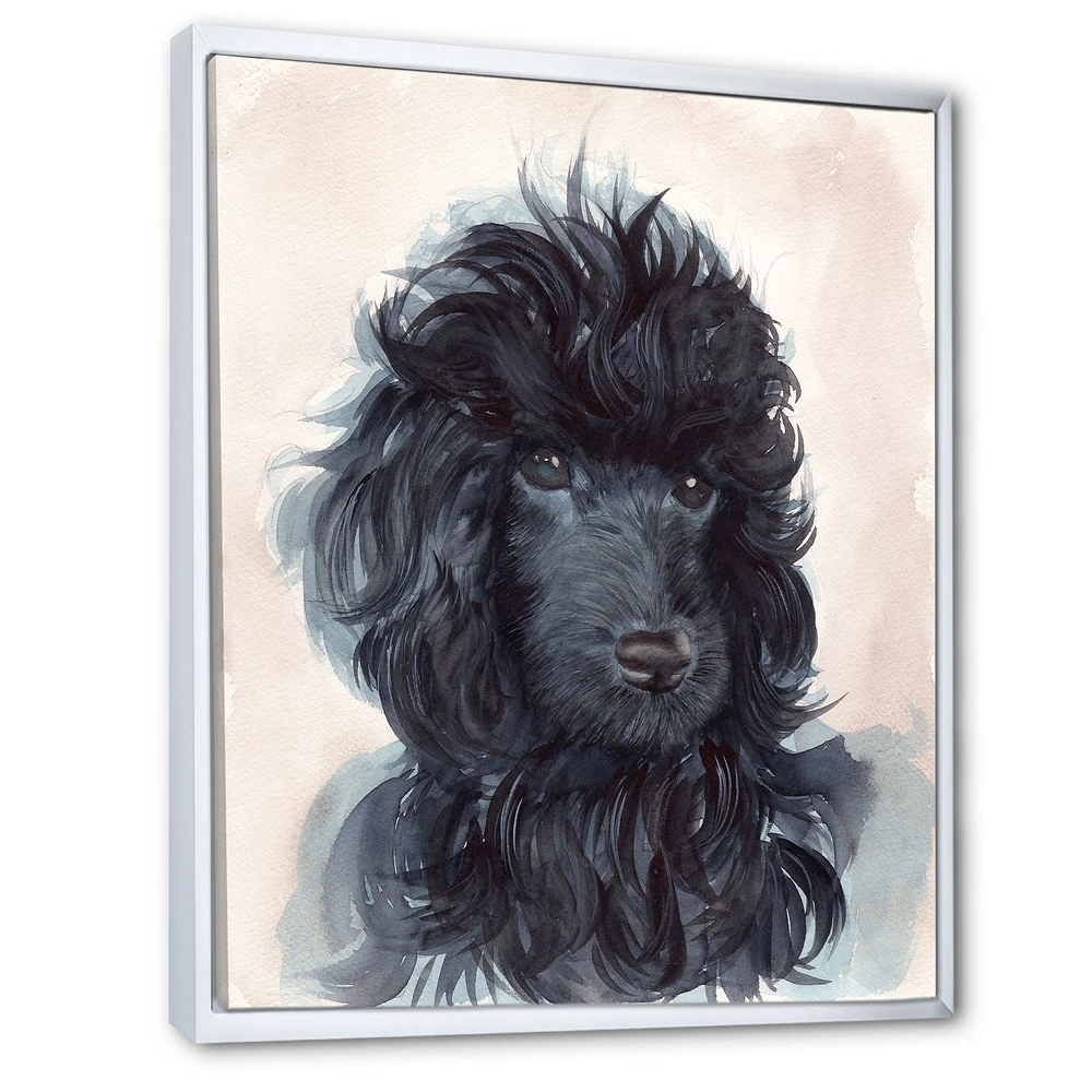 Portrait of The Black Poodle Puppy with Curly Coat  Canvas Wall Art Print