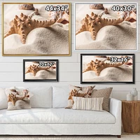 Close Up of Starfish and Seashell on Light Sand Canvas Wall Art Print