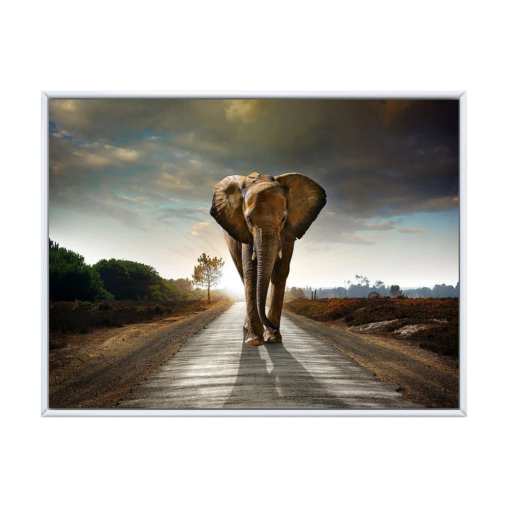 Single Walking Elephant  Canvas Art Print
