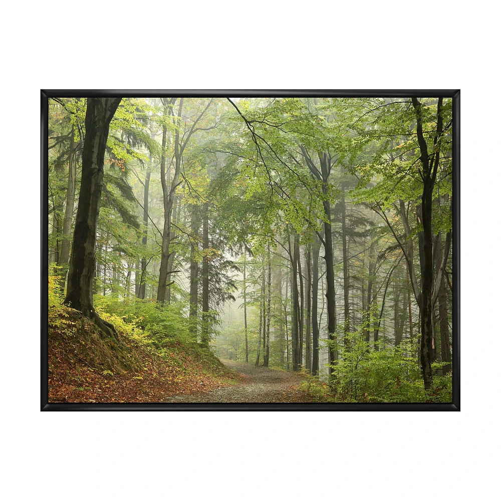 Toile « Green Beach Forest Pathway »
