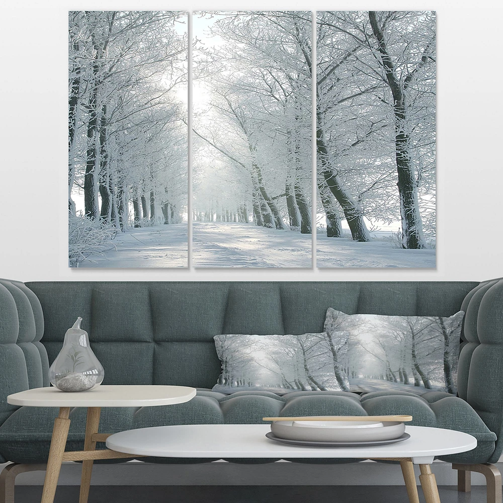 Winter Road Backlit my Morning Sun Canvas Wall Art Panels