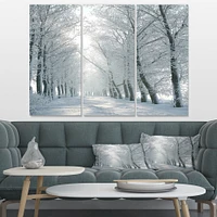 Winter Road Backlit my Morning Sun Canvas Wall Art Panels