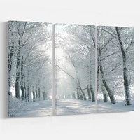 Winter Road Backlit my Morning Sun Canvas Wall Art Panels