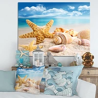 Starfish and Seashells on Beach Canvas Wall Art Print