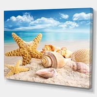 Starfish and Seashells on Beach Canvas Wall Art Print
