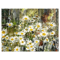 Daisies Flowers Under the Window  Wall Art
