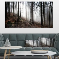 Misty Forest Morning Panorama  Canvas Wall Art