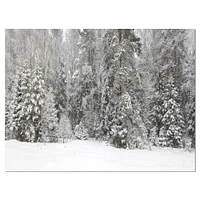 Foggy Winter Forest Panorama  Wall Art