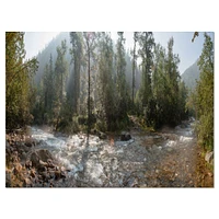 Mountain River Panorama  Wall Art