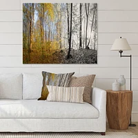 Morning Forest Panorama Canvas Art Print