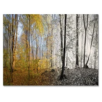 Morning Forest Panorama Canvas Art Print