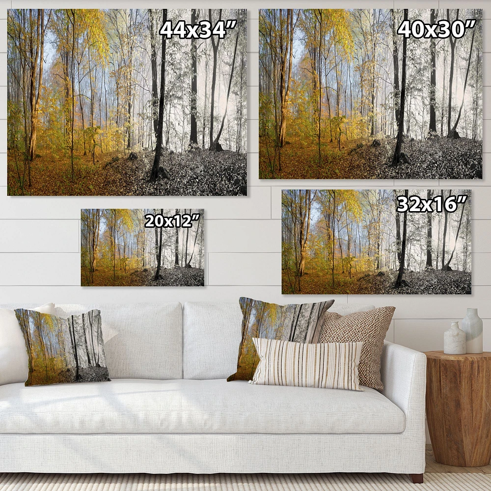Morning Forest Panorama Canvas Art Print