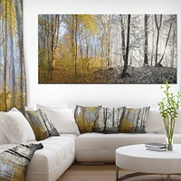 Morning Forest Panorama Canvas Art Print