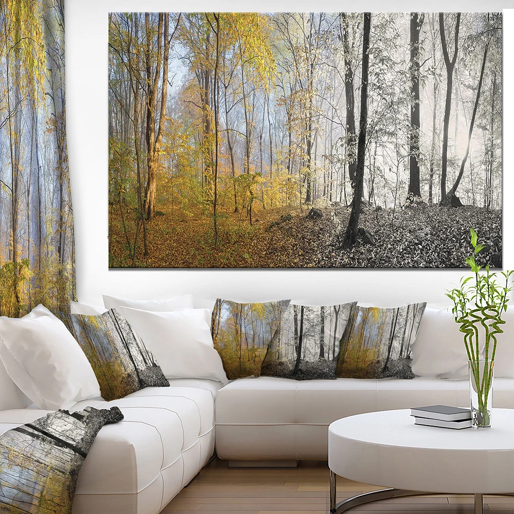 Morning Forest Panorama Canvas Art Print