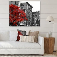 Red Tree on Black and White New York City Street  Canvas