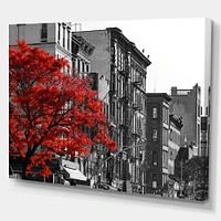 Red Tree on Black and White New York City Street  Canvas