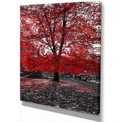 Red Tree Central Park  Wall Art