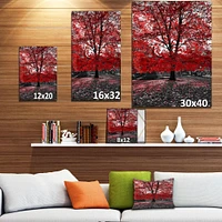 Red Tree Central Park  Wall Art