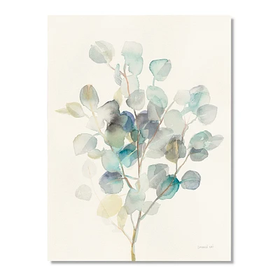 Eucalyptus Leaves I Canvas Wall Art