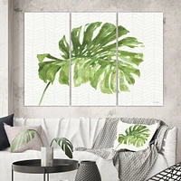 Mixed Botanical Green Leaves V  Canvas Art