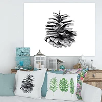 Conifer Cone Monochrome Wall Art