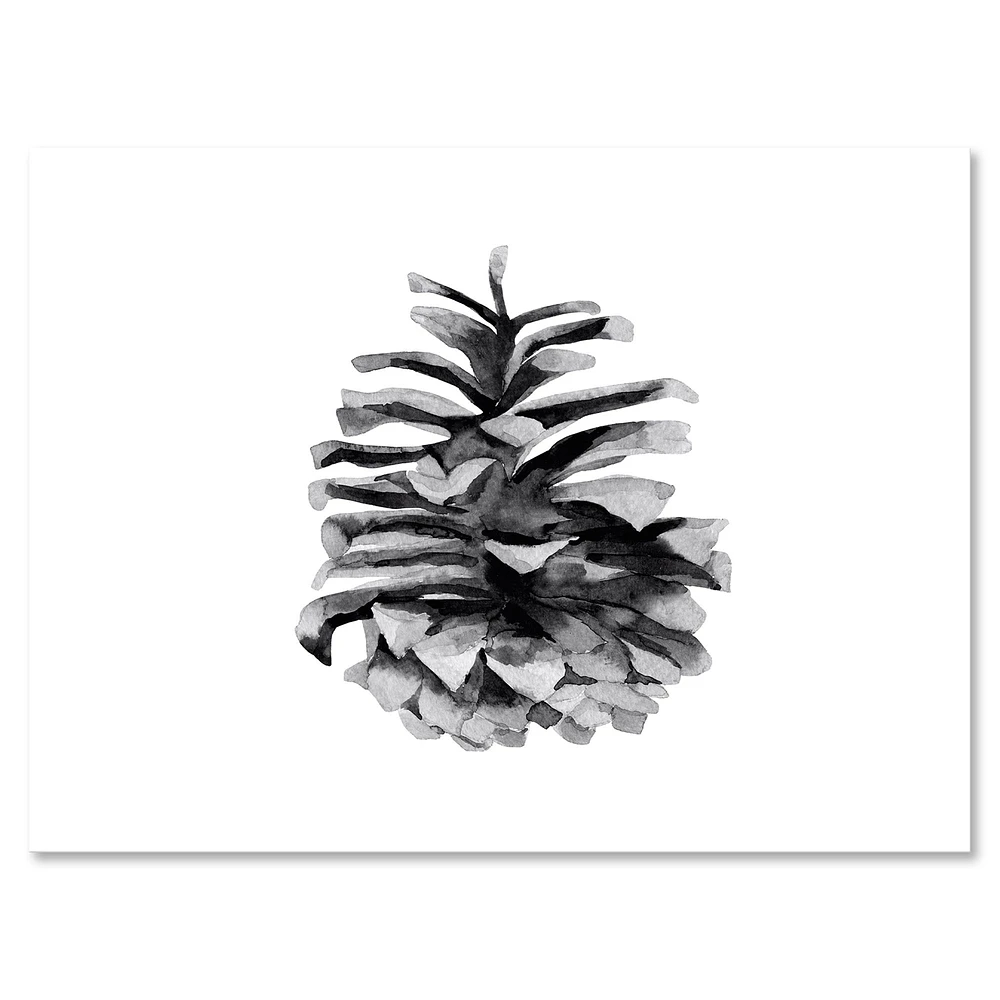 Conifer Cone Monochrome Wall Art