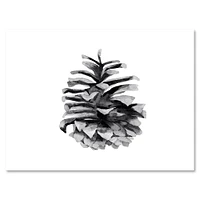 Conifer Cone Monochrome Wall Art