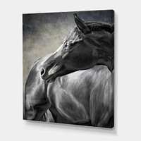 Portrait of A Black Horse  Canvas Wall Art Print