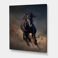 Portrait of Thoroughbred Nonius Stallion Horse I  Wall Art