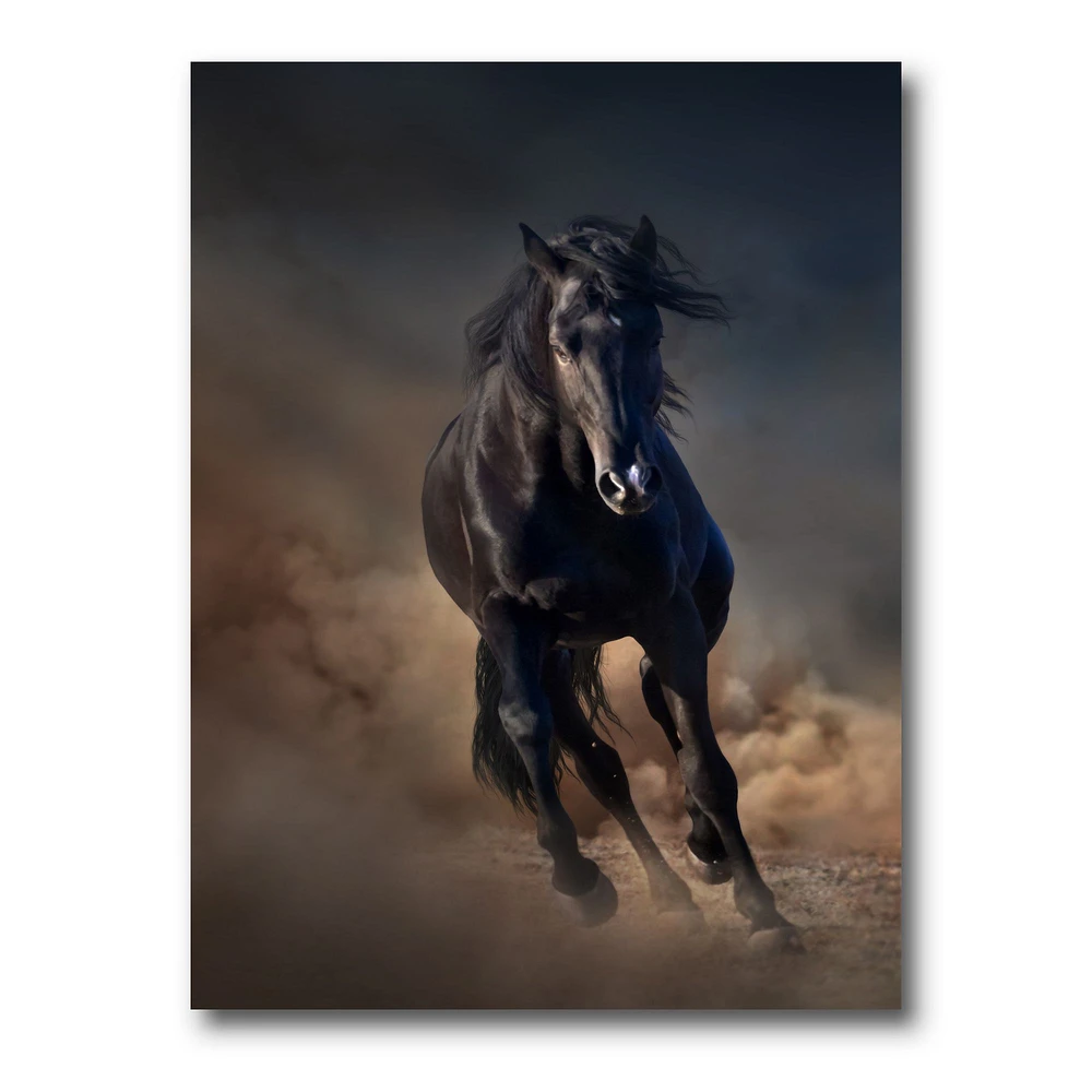 Portrait of Thoroughbred Nonius Stallion Horse I  Wall Art