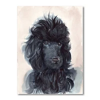 Portrait of The Black Poodle Puppy with Curly Coat  Canvas Wall Art Print