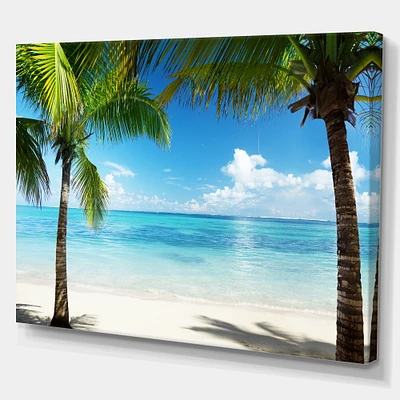 Palm Trees and Sea Canvas Wall Art