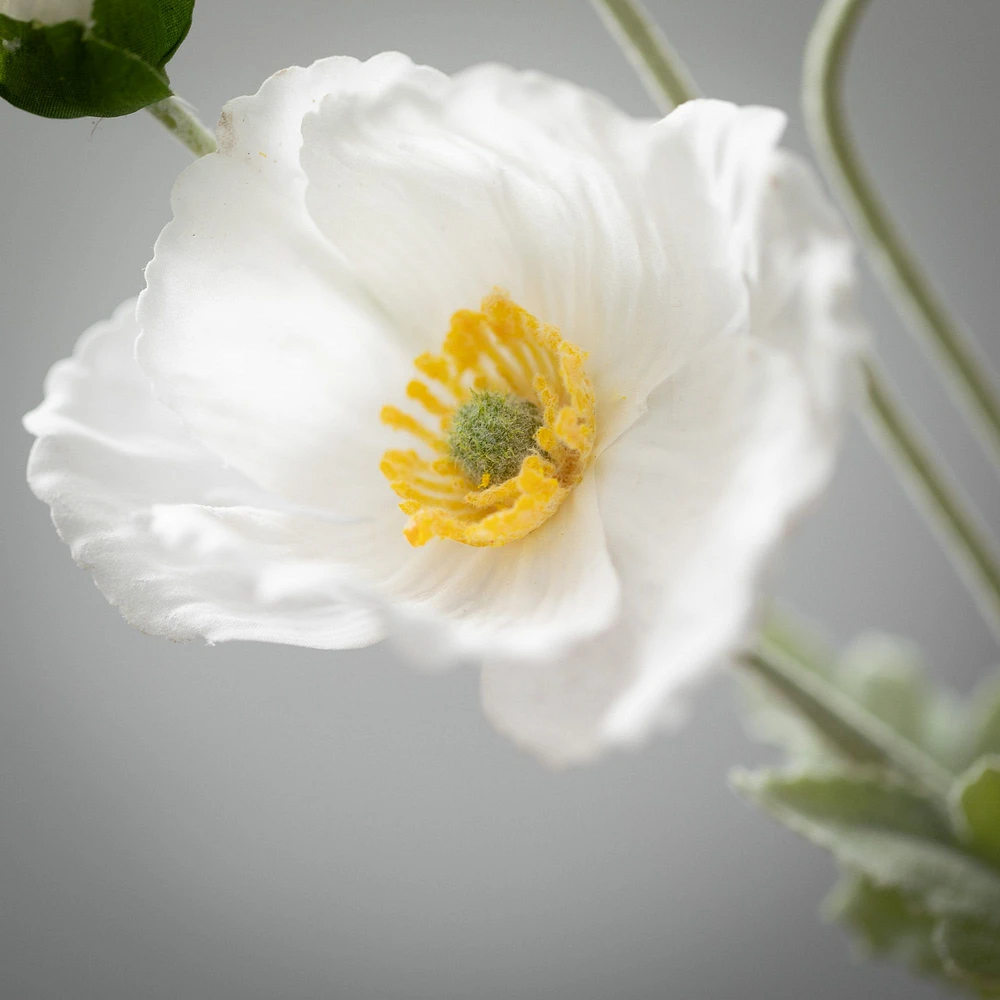 Poppy Stem 6x5x25" - Cream