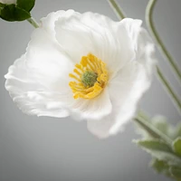Poppy Stem 6x5x25" - Cream
