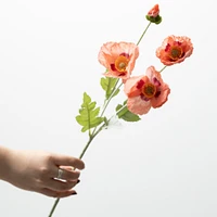Poppy Stem 6x5x25