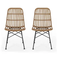 Modern Rattan Patio Chairs, Set of 2 – Brown