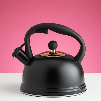 Typhoon Whistling Kettle - Black