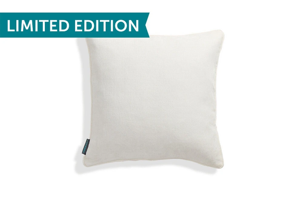 18x18 Throw Pillow Cover: Alabaster Etched Chenille