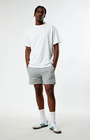 Pacsun Premium Oversized T-Shirt