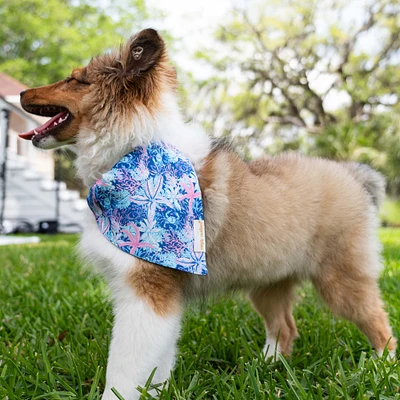 The Pawsome Pet Bandana