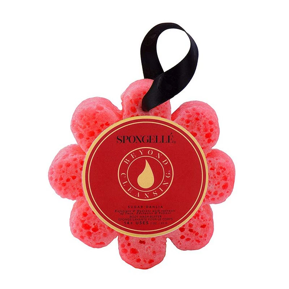Sugar Dahlia Wild Flower Spongette