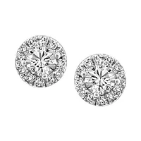 Fire of the North Halo Stud Earrings with Carat TW of Diamonds in 14kt White Gold