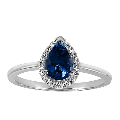 Ring with Blue Sapphire and .09 Carat TW of Diamonds in 10kt White Gold