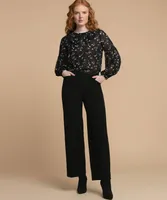 Sheer Portrait Collar Blouse