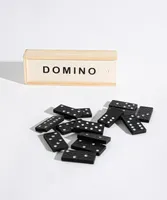 Dominoes Game Set