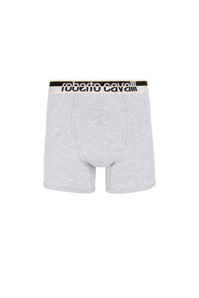 Logo Boxer Briefs