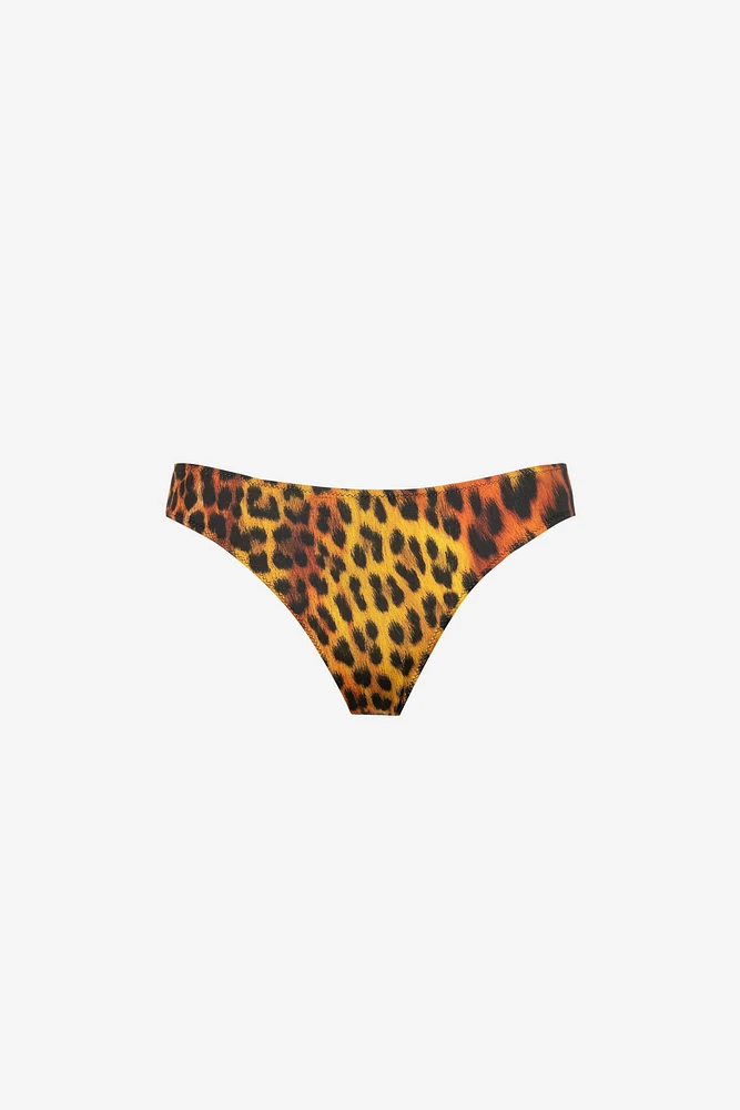 Jaguar-Print Bikini Briefs
