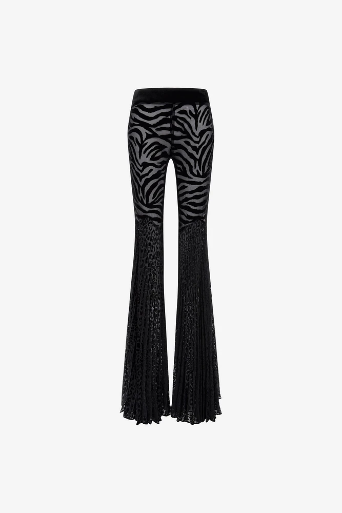 Velvet pants with Ray of Gold print