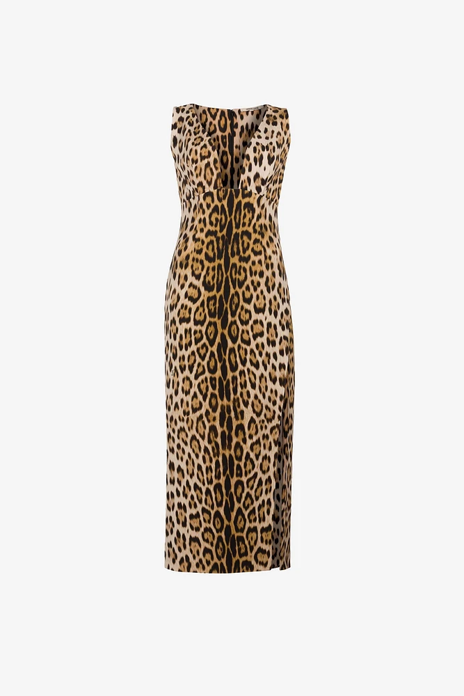 Jaguar-Print Dress