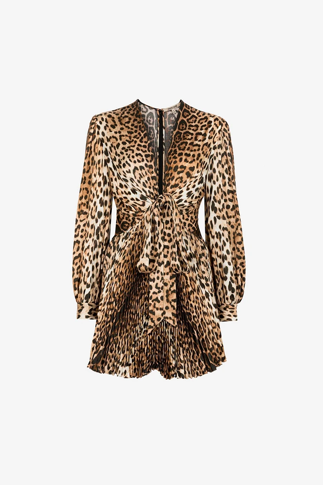 Leopard-Print Mini Dress